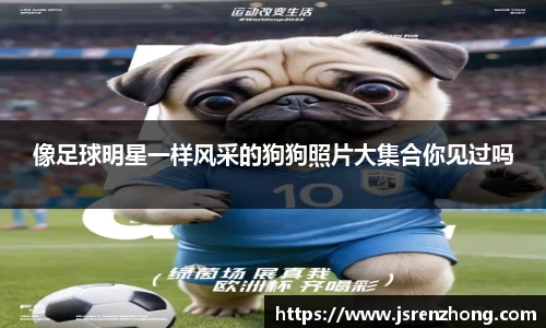像足球明星一样风采的狗狗照片大集合你见过吗